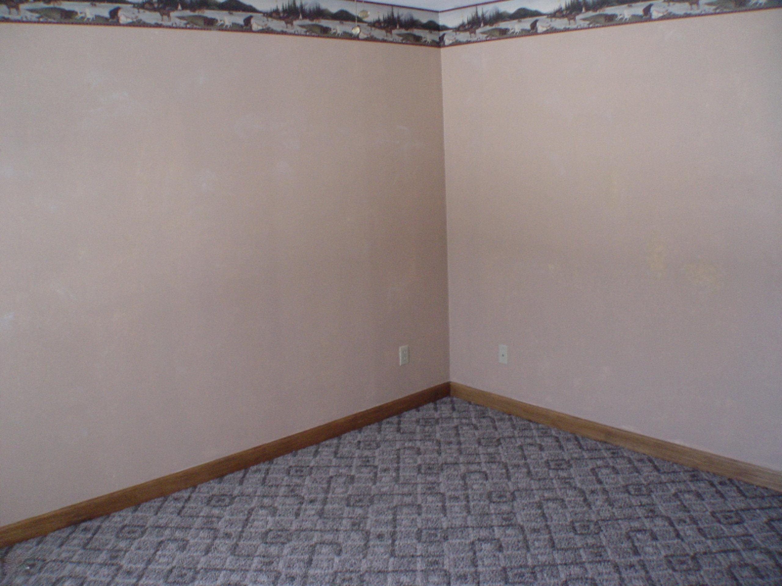 2387 Barber Road Hastings, MI 49058 - Photo 9 of 14 DSC08735