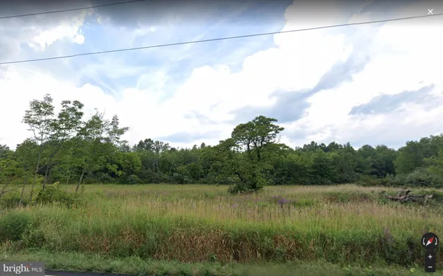 a view of a lake from a yard