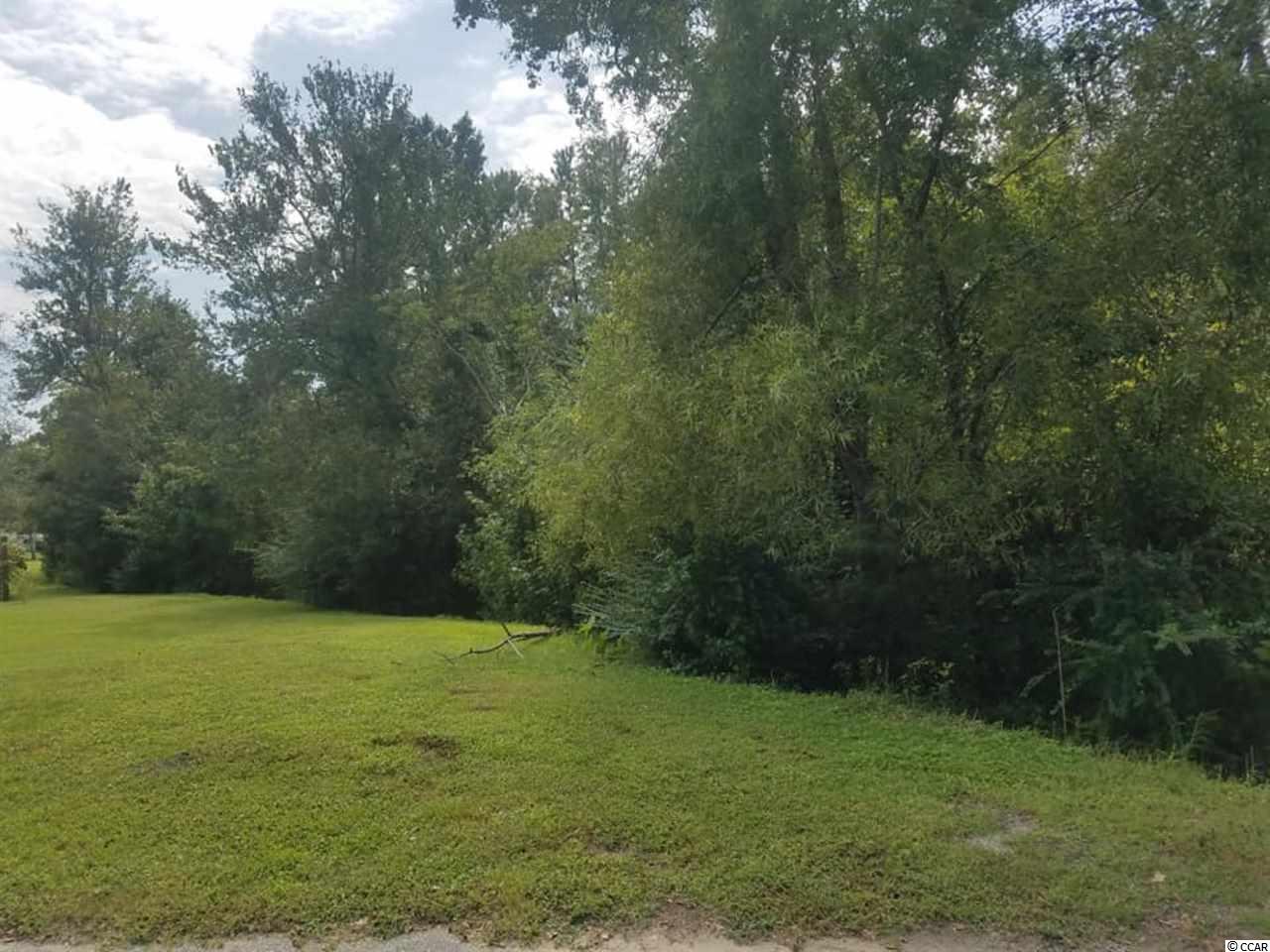 7115 Jolly Road Conway, SC 29526 - Photo 2 of 6 Gallery Image 2