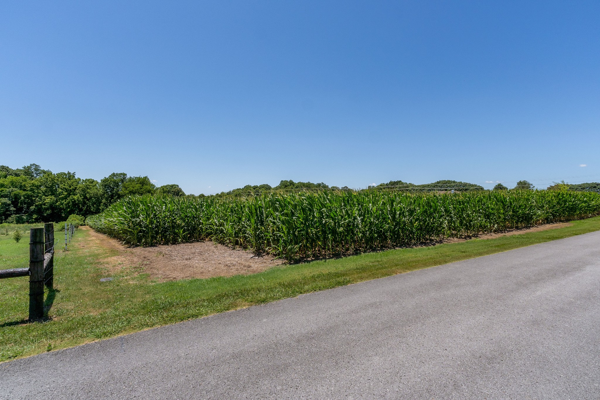 0 Pistole Lane McMinnville, TN 37110 - Photo 16 of 17