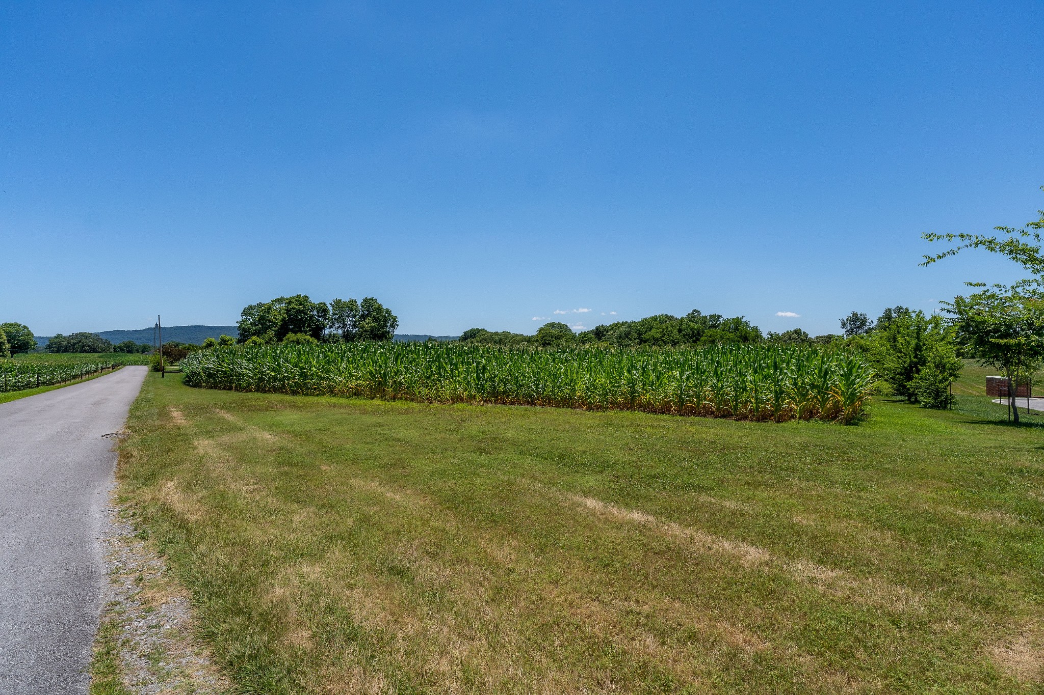 0 Pistole Lane McMinnville, TN 37110 - Photo 17 of 17