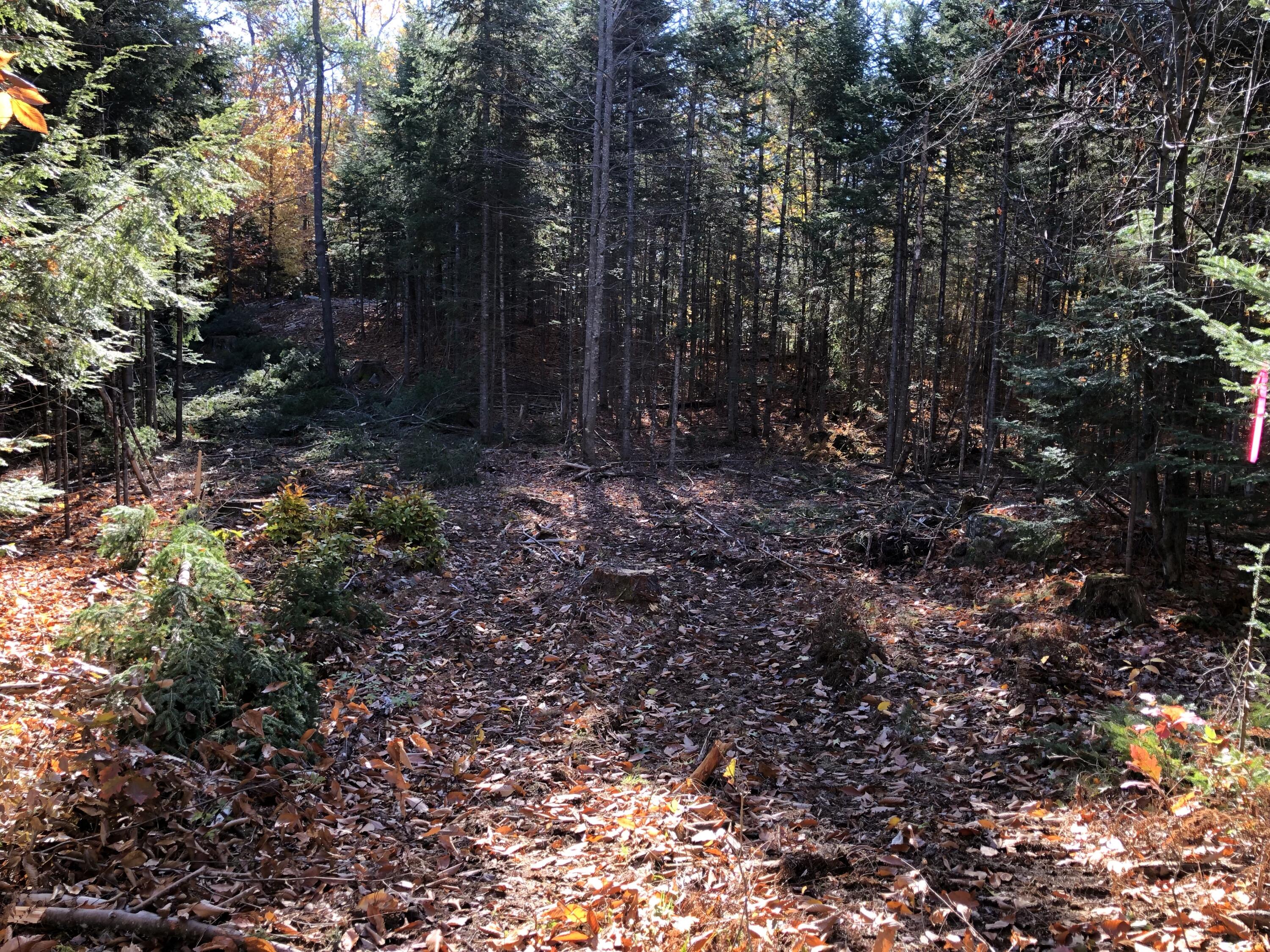 0 Wentworth & Cleveland Road Embden, ME 04958 - Photo 2 of 8 IMG-2986