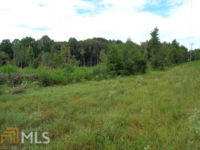 0 Jf Shirley Carnesville, GA 30521 - Photo 1 of 1 Gallery Image 1