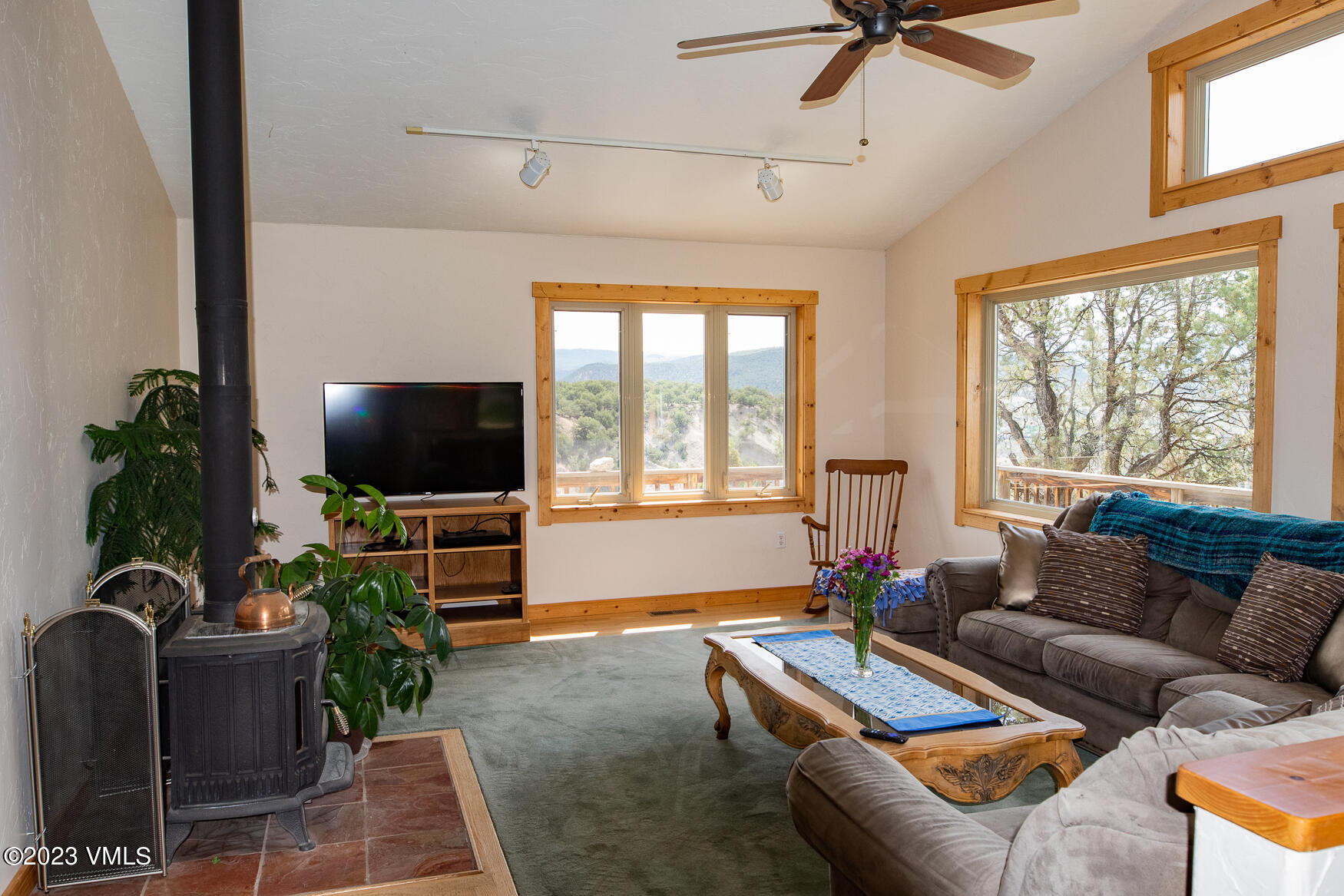 460 Mesa Drive Eagle, CO 81631 - Photo 3 of 42 a living room with furniture and a flat screen tv