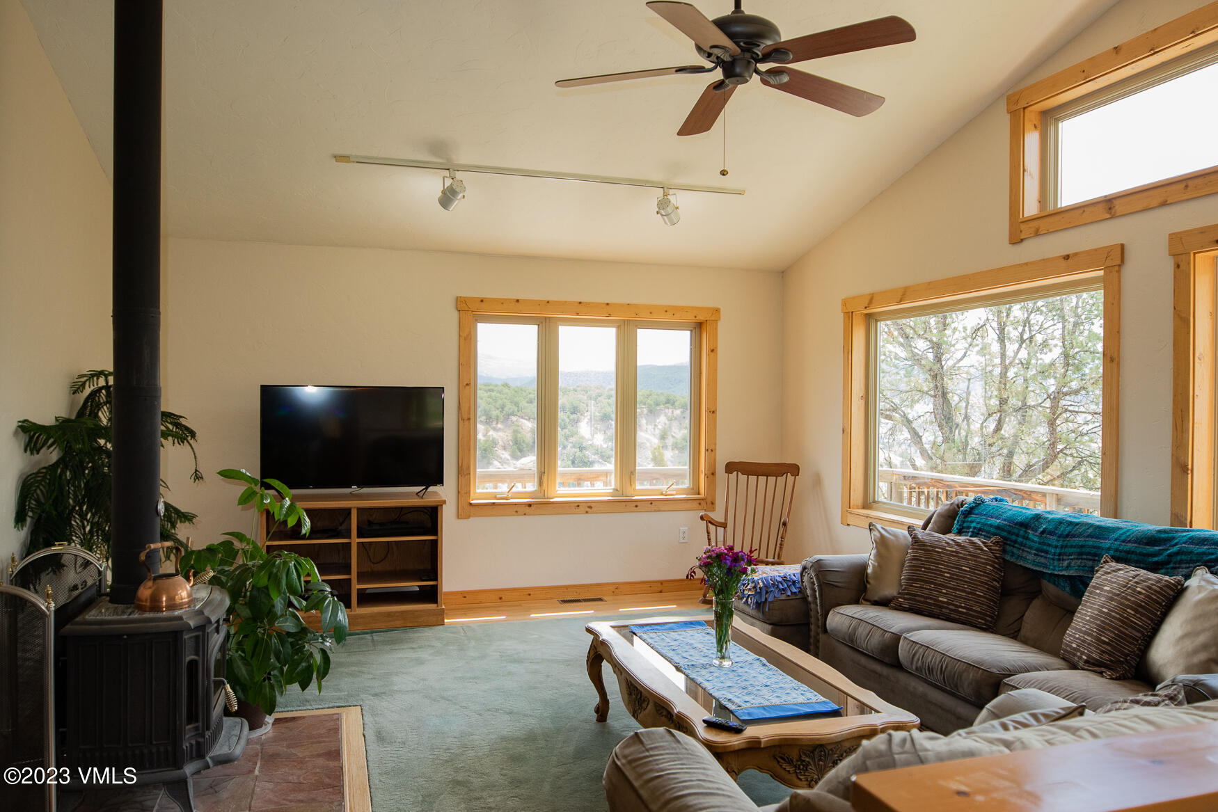 460 Mesa Drive Eagle, CO 81631 - Photo 4 of 42 a living room with furniture and a flat screen tv