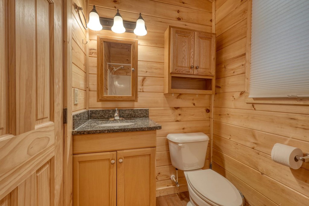100 Fern Cv Lane Murphy, NC 28906 - Photo 24 of 28 a bathroom with a granite countertop toilet sink and mirror