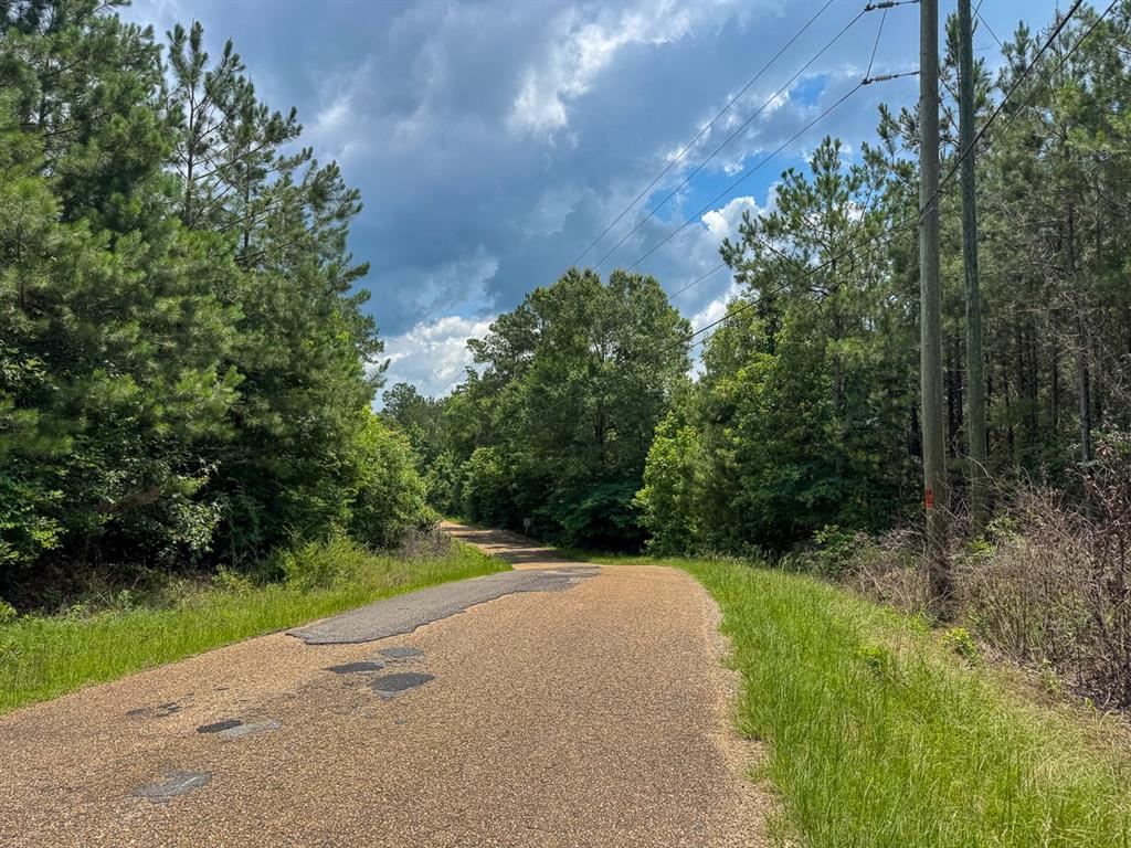 T-2 Blade Loop Jena, LA 71342 - Photo 4 of 17