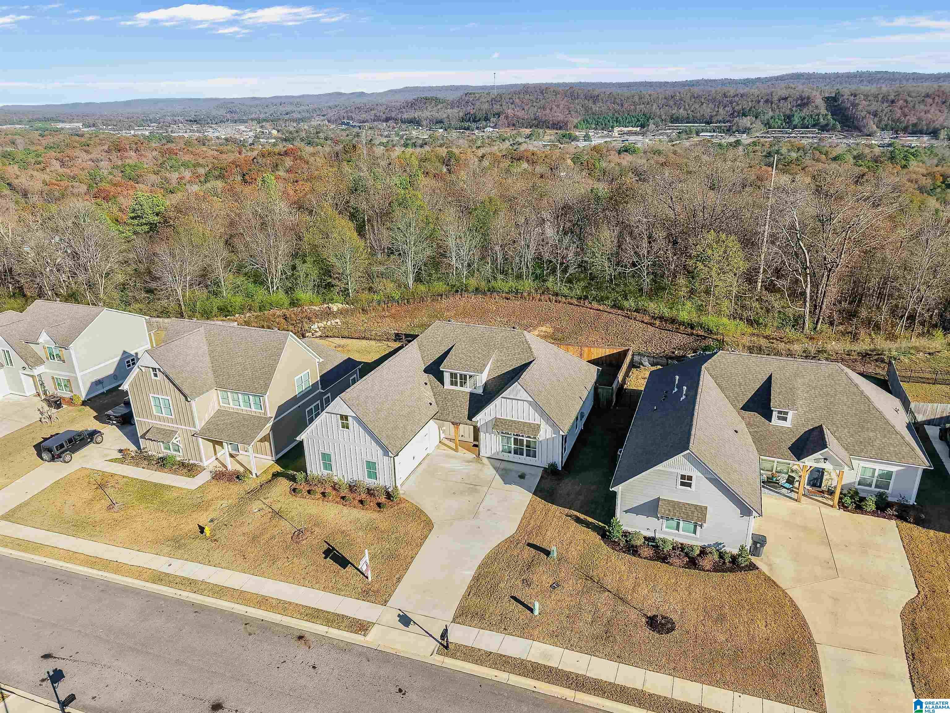 1182 Camellia Ridge Drive Pelham, AL 35124 - Photo 44 of 46