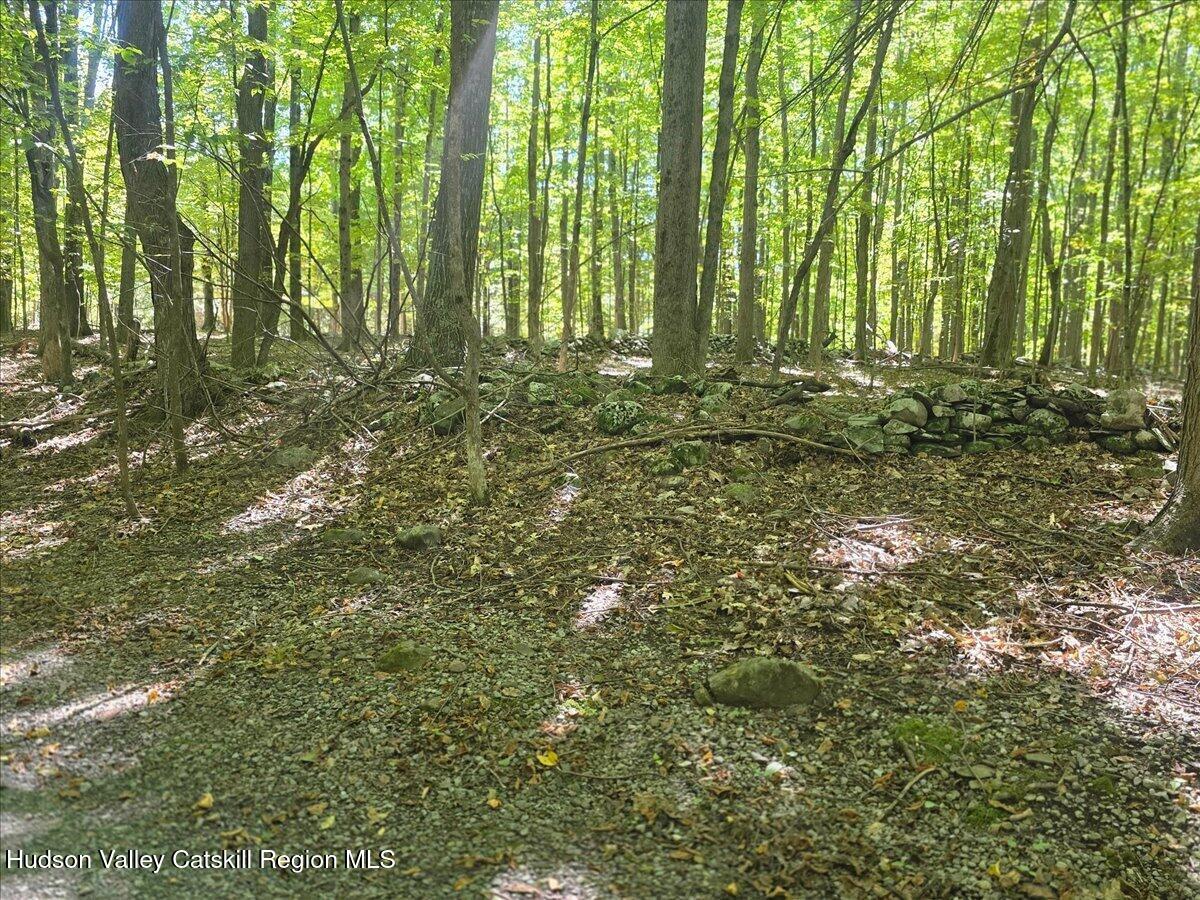 199 Paddock Road Cairo, NY 12413 - Photo 25 of 31 25-Stone walls