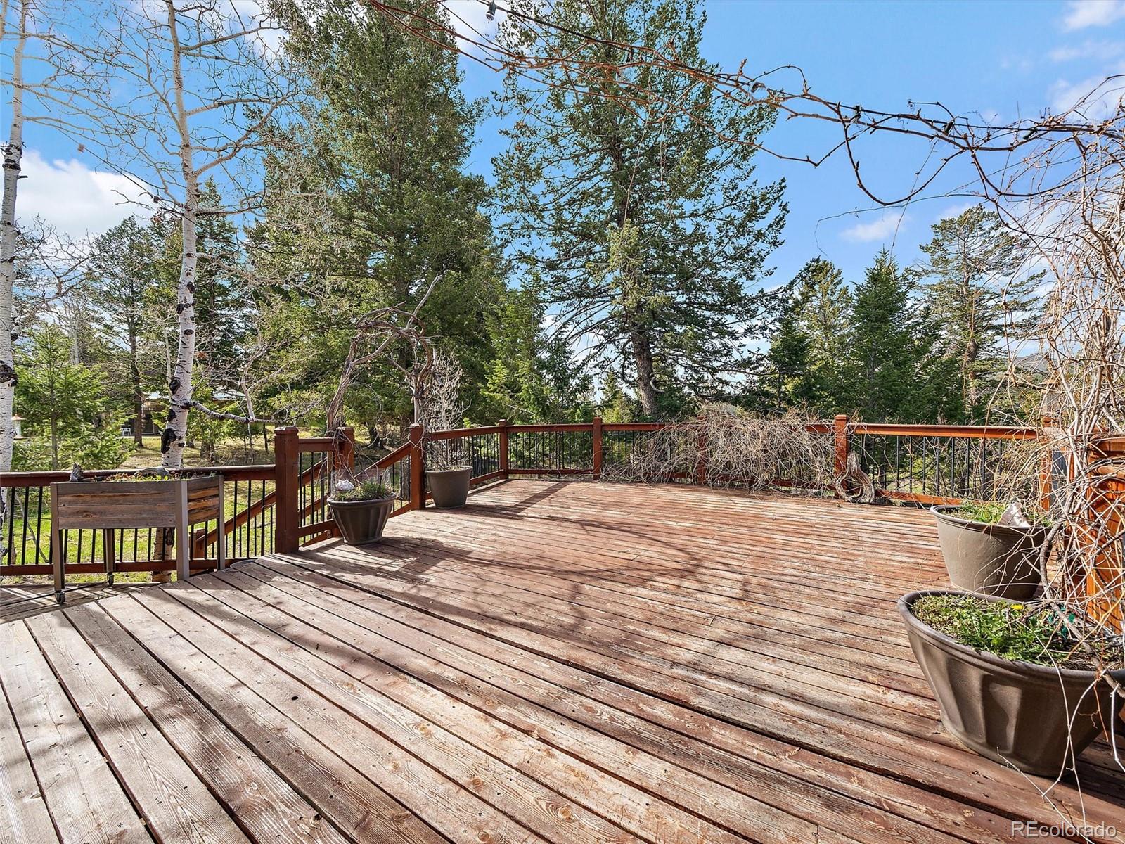 7754 Swaps Trail Evergreen, CO 80439 - Photo 15 of 36