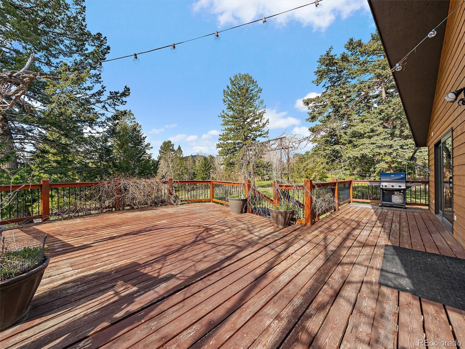 7754 Swaps Trail Evergreen, CO 80439 - Photo 16 of 36