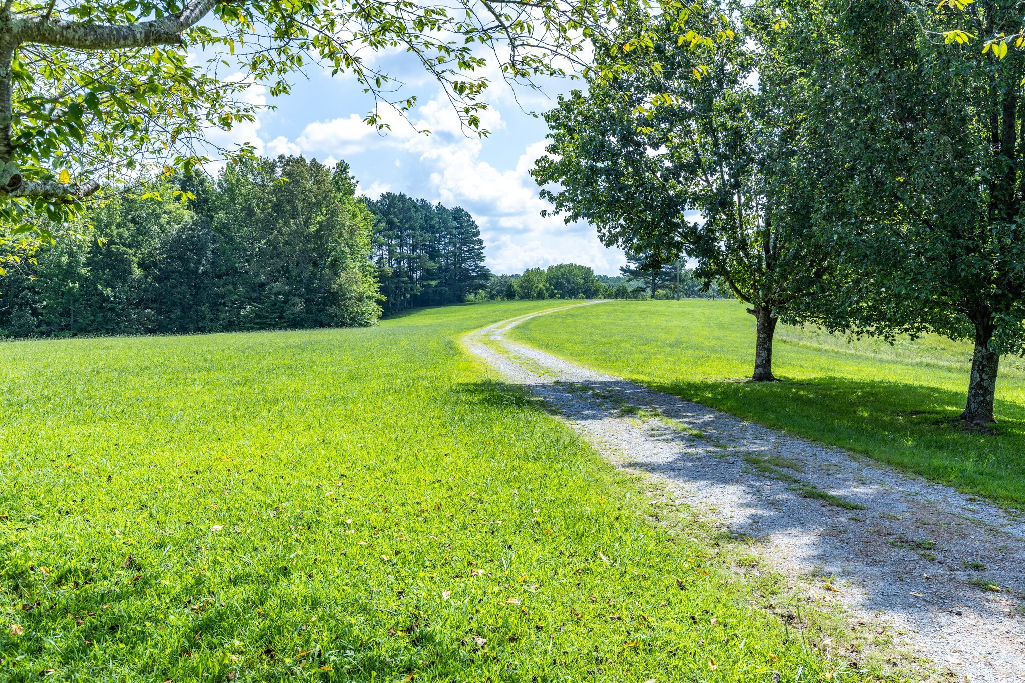 1087 Charley Davis Road Goodspring, TN 38460 - Photo 42 of 80