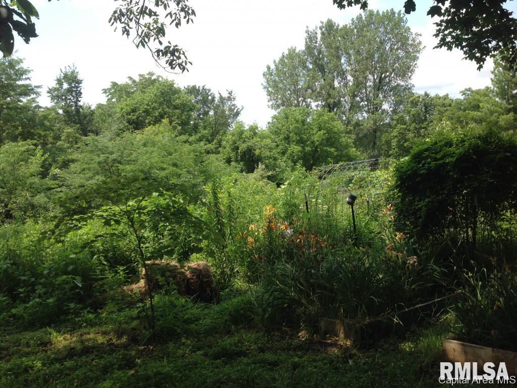 2077 Heitz Road Jacksonville, IL 62650 - Photo 10 of 14