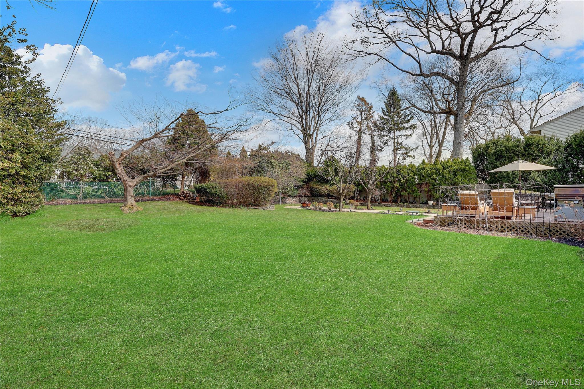 27 Cedar Street Syosset, NY 11791 - Photo 27 of 28 a view of a park with large trees