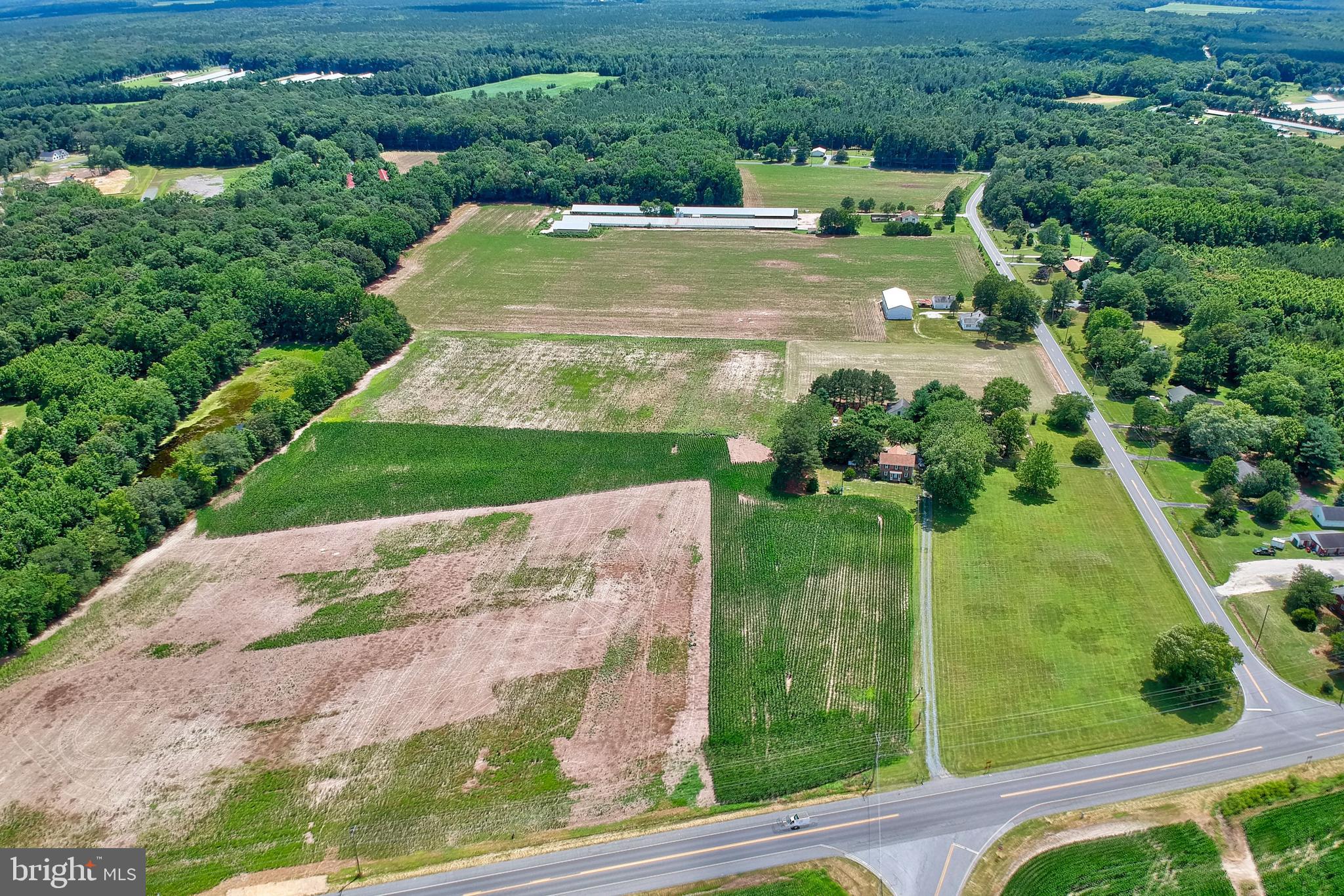 31767 East Line Road Delmar, MD 21875 - Photo 4 of 50