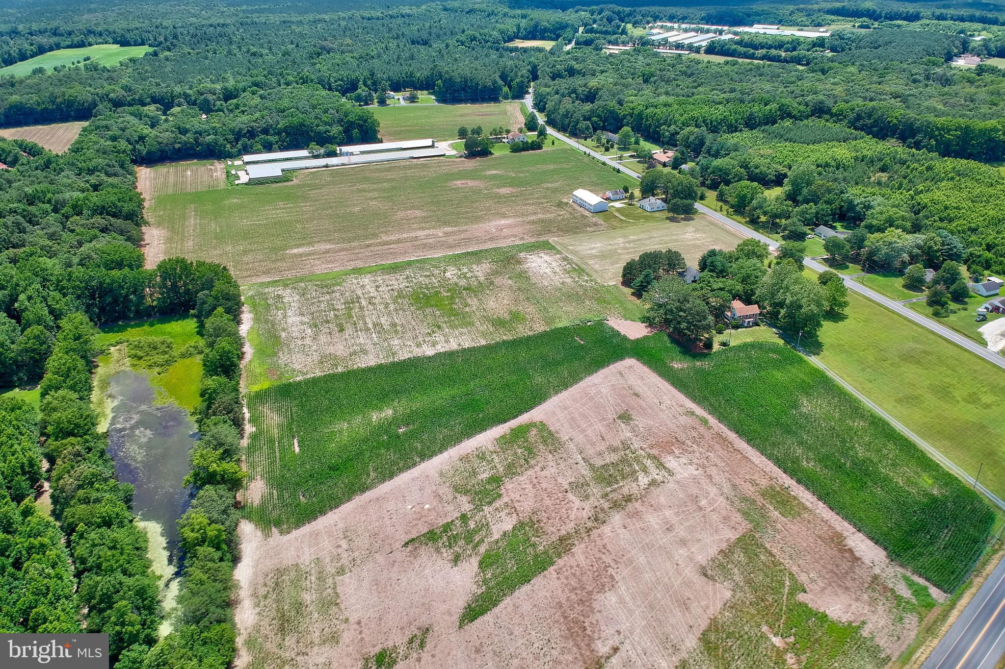 31767 East Line Road Delmar, MD 21875 - Photo 5 of 50