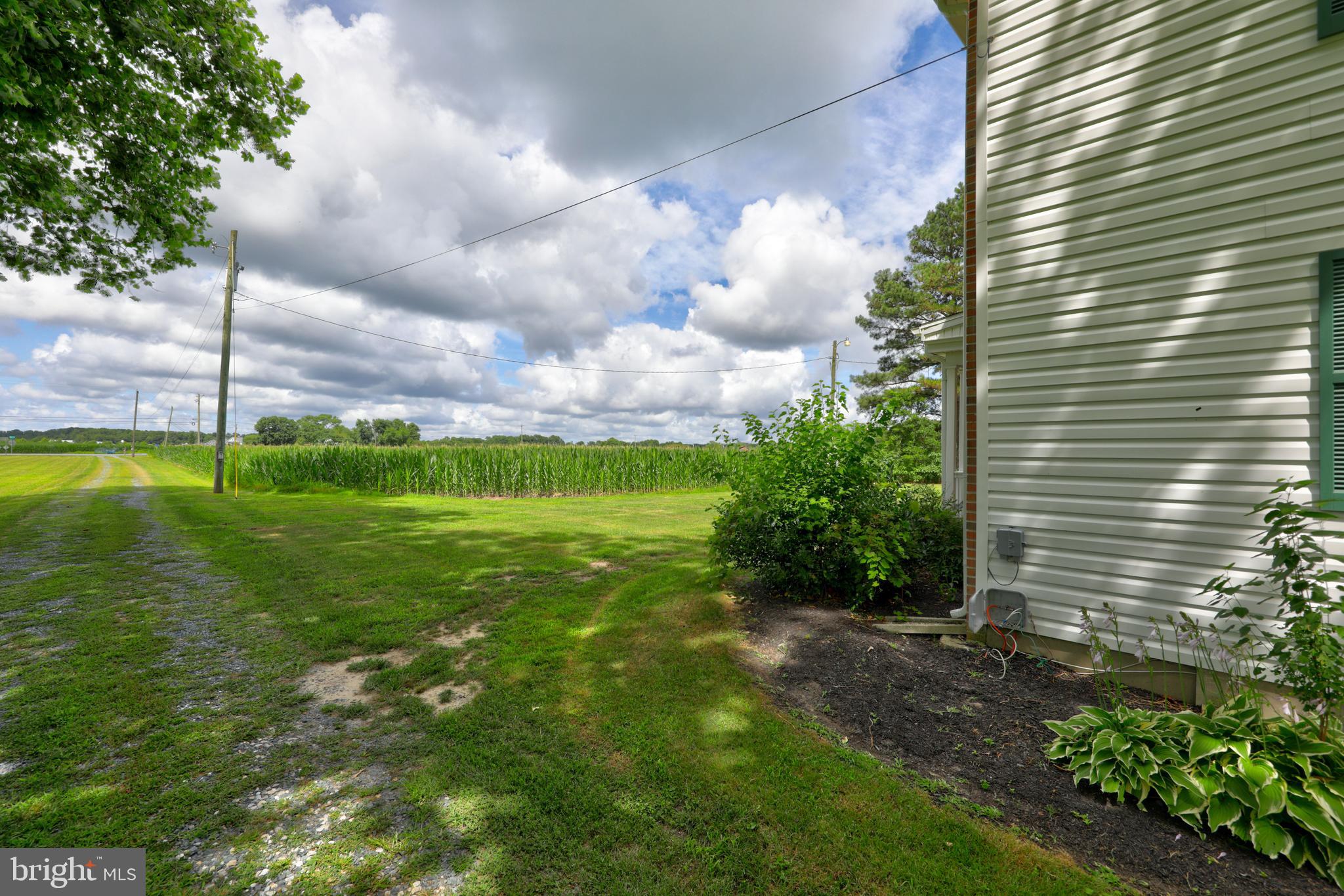 31767 East Line Road Delmar, MD 21875 - Photo 43 of 50