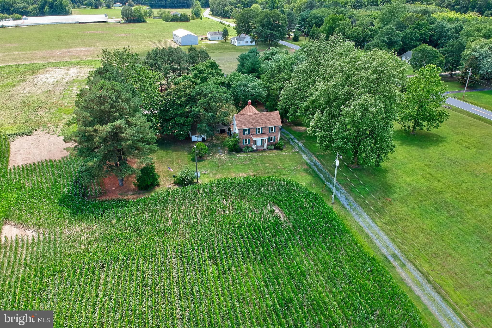31767 East Line Road Delmar, MD 21875 - Photo 10 of 50