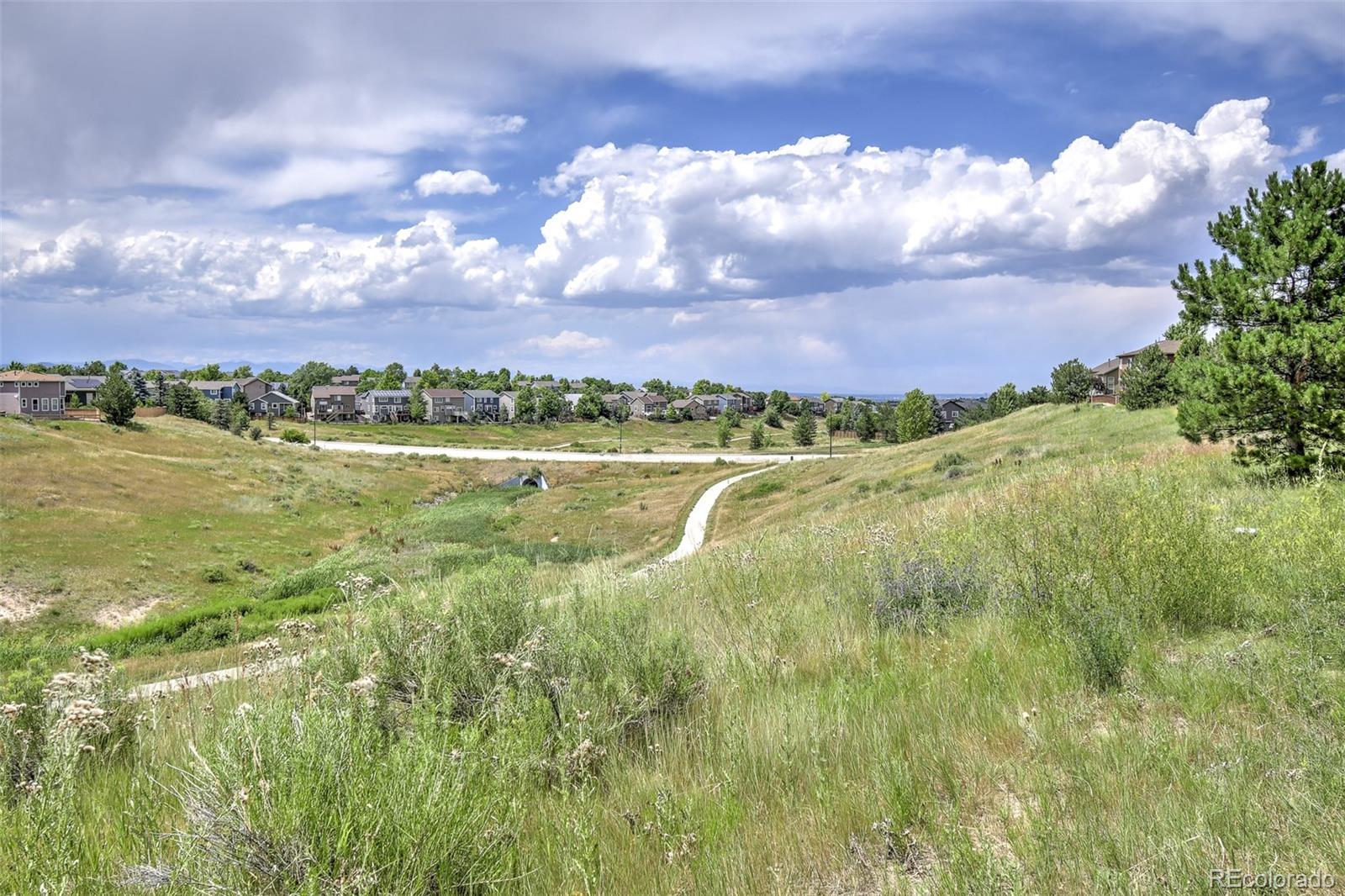 10597 Ashfield Street Highlands Ranch, CO 80126 - Photo 26 of 27 Gallery Image 26