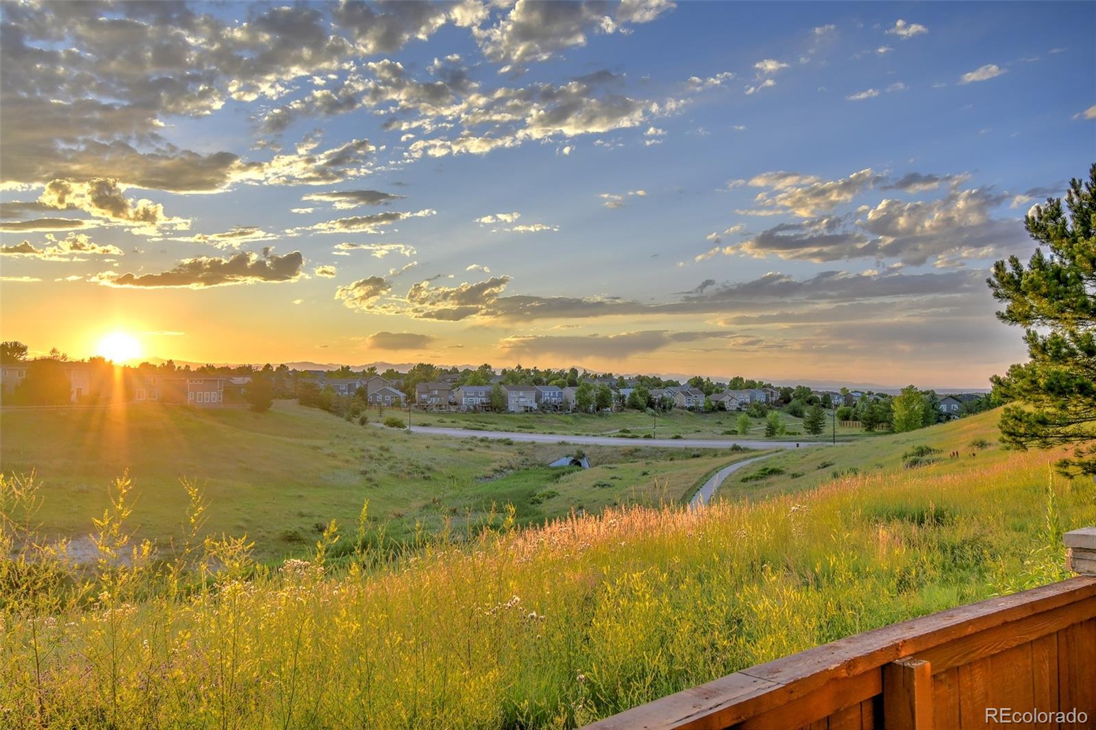 10597 Ashfield Street Highlands Ranch, CO 80126 - Photo 27 of 27 Gallery Image 27