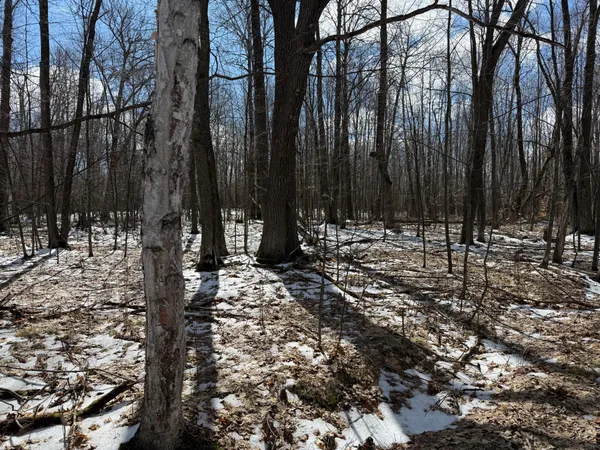 $1,150,000 | 41273 Swede Alley, Hinckley, MN 55037