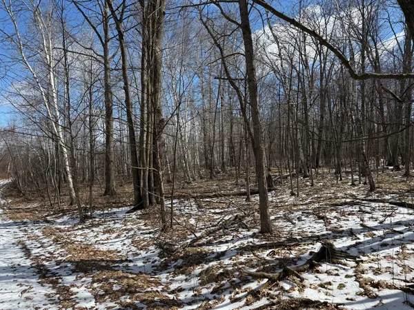 $1,150,000 | 41273 Swede Alley, Hinckley, MN 55037