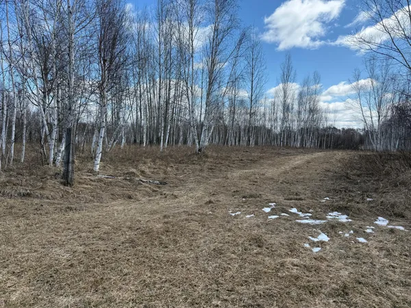 $1,150,000 | 41273 Swede Alley, Hinckley, MN 55037