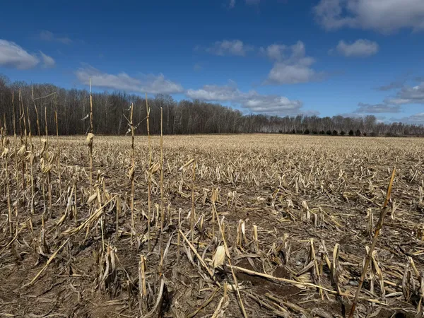 $1,150,000 | 41273 Swede Alley, Hinckley, MN 55037