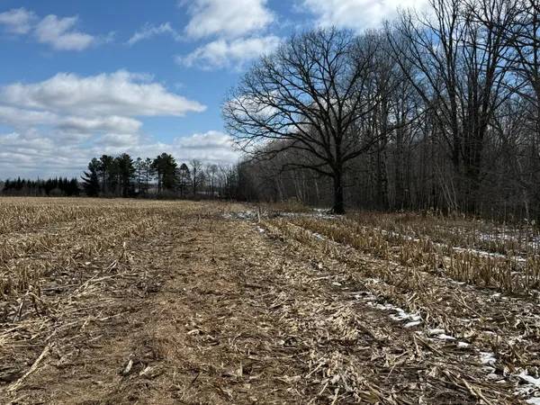 $1,150,000 | 41273 Swede Alley, Hinckley, MN 55037