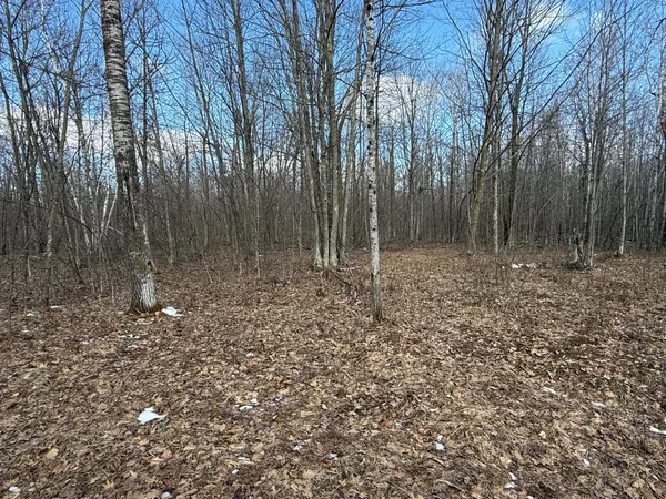 $1,150,000 | 41273 Swede Alley, Hinckley, MN 55037