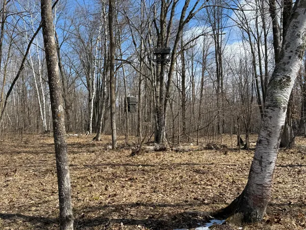 $1,150,000 | 41273 Swede Alley, Hinckley, MN 55037