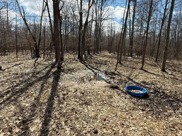 $1,150,000 | 41273 Swede Alley, Hinckley, MN 55037