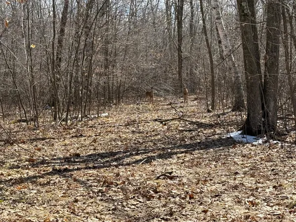 $1,150,000 | 41273 Swede Alley, Hinckley, MN 55037