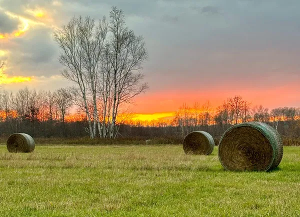 $1,150,000 | 41273 Swede Alley, Hinckley, MN 55037