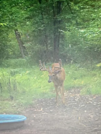 $1,150,000 | 41273 Swede Alley, Hinckley, MN 55037