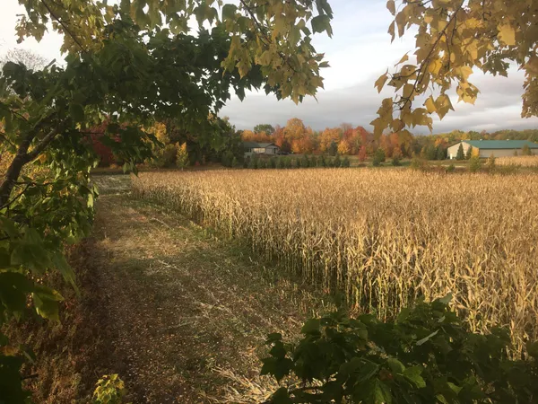 $1,150,000 | 41273 Swede Alley, Hinckley, MN 55037