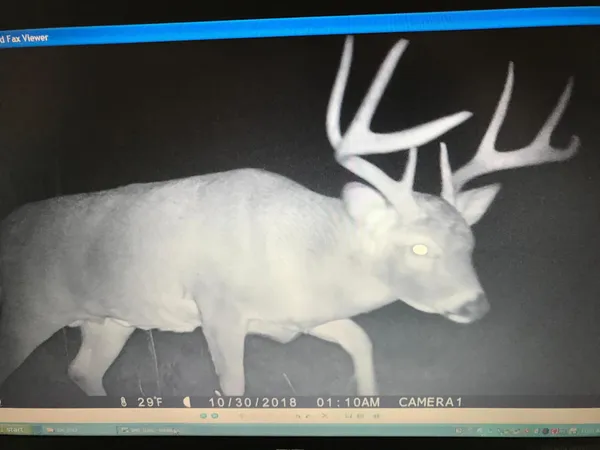 $1,150,000 | 41273 Swede Alley, Hinckley, MN 55037