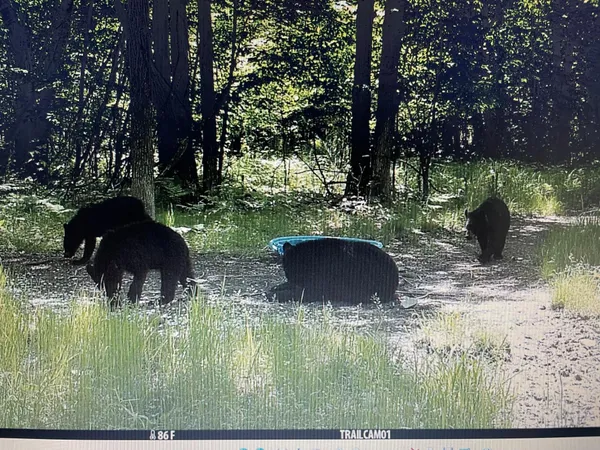 $1,150,000 | 41273 Swede Alley, Hinckley, MN 55037