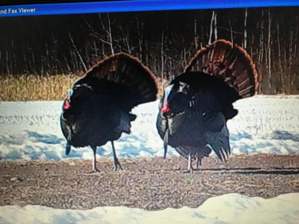 $1,150,000 | 41273 Swede Alley, Hinckley, MN 55037