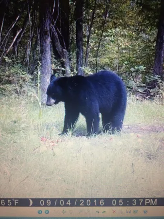 $1,150,000 | 41273 Swede Alley, Hinckley, MN 55037