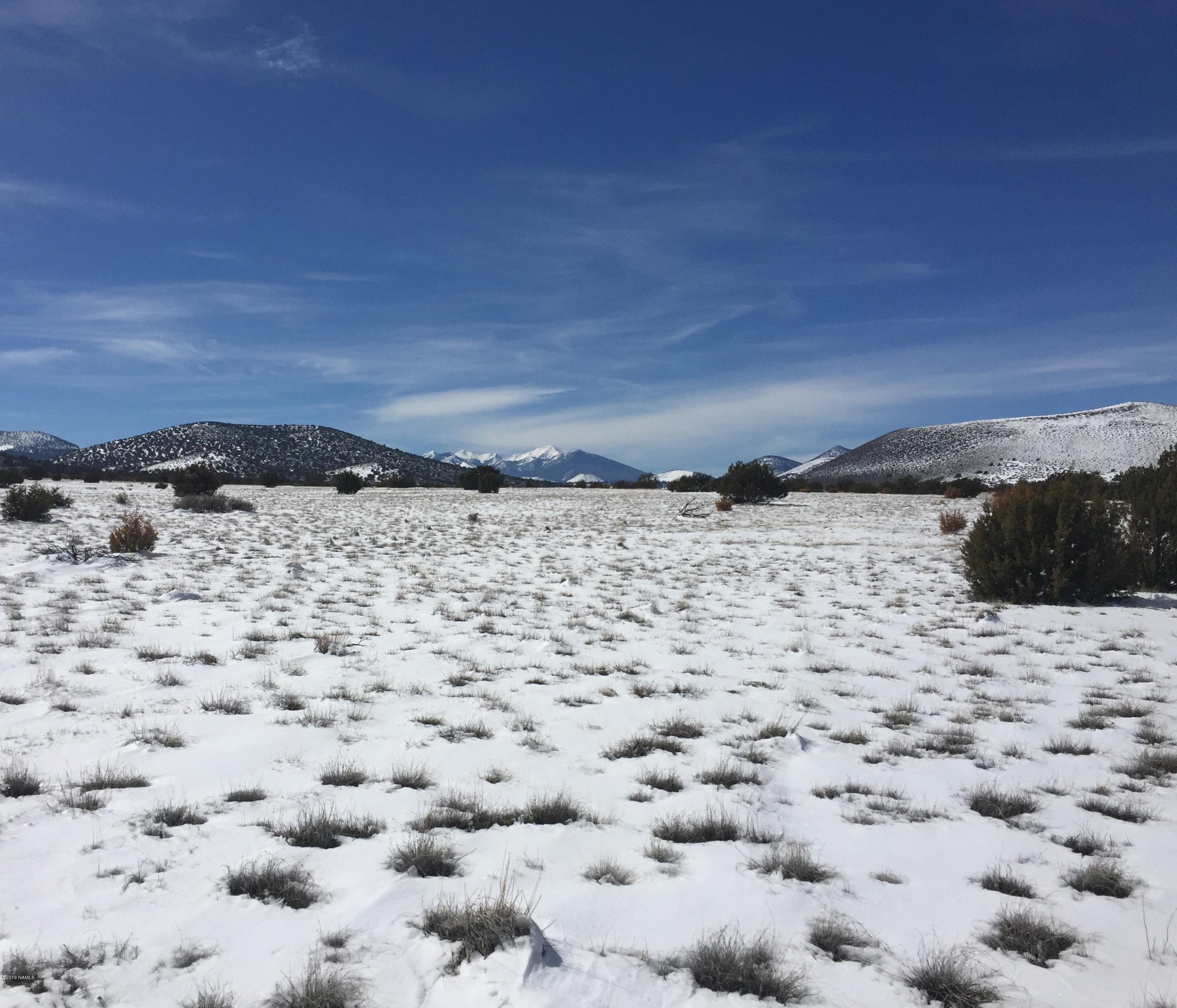 42026 Alpine Ranch Flagstaff, AZ 86004 - Photo 1 of 2 Views-San Francisco Peaks/craters
