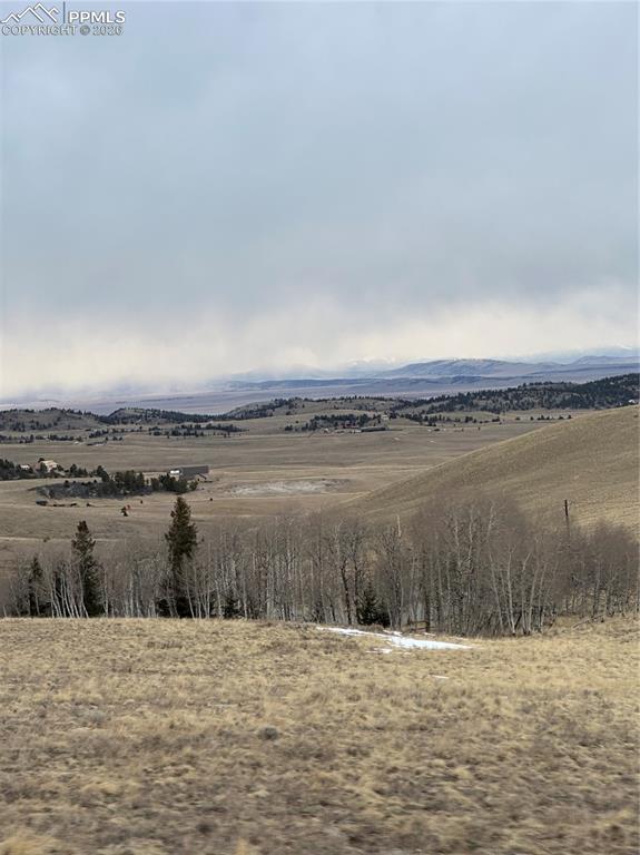 9086 Ranch Road Hartsel, CO 80449 - Photo 6 of 6