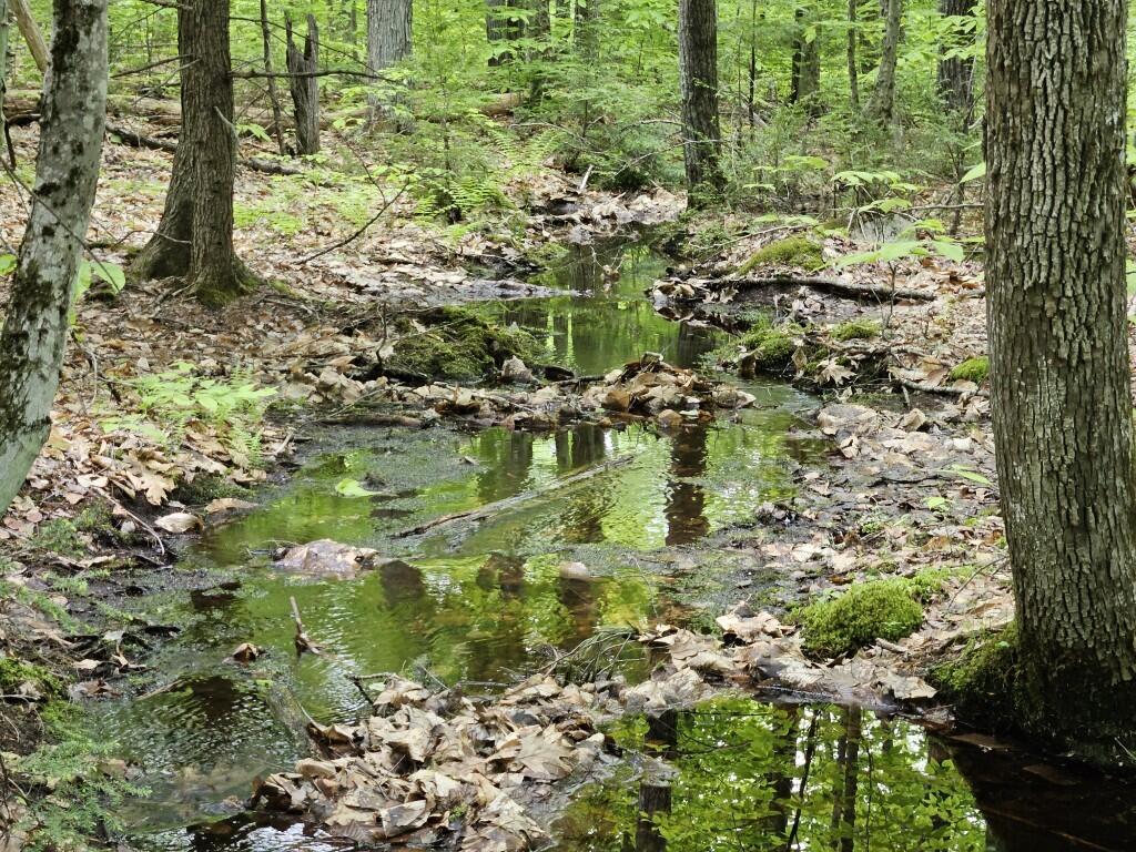M10-l44 Mountain View Road Fryeburg, ME 04037 - Photo 21 of 36