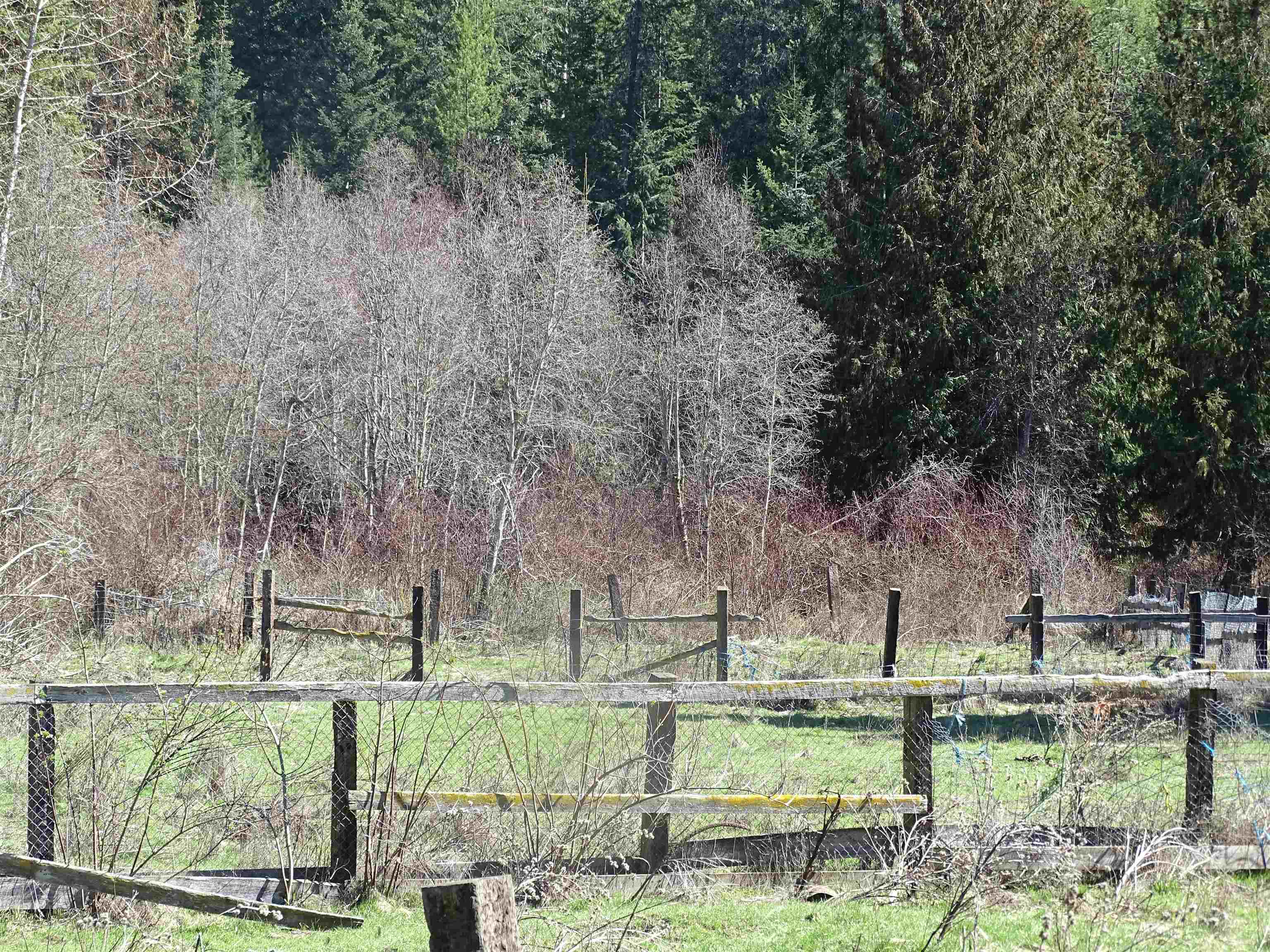 17208 East Blanchard Road Elk, WA 99009 - Photo 11 of 28
