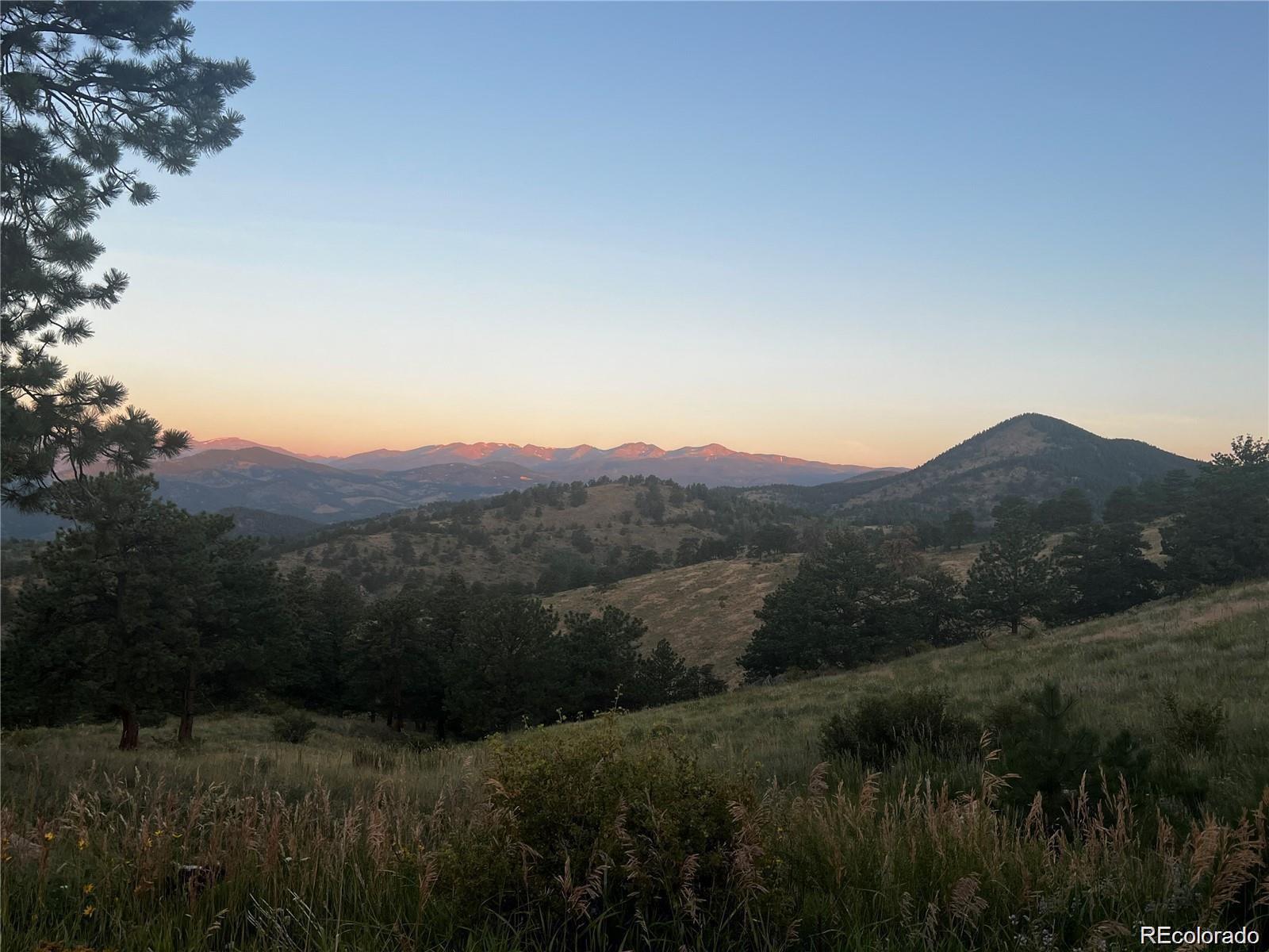 401 Raptor Point Golden, CO 80403 - Photo 40 of 44 a view of a backyard with green space