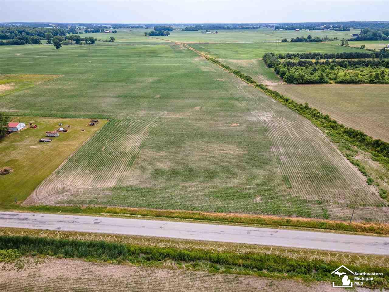 0 Douglas Road Ida, MI 48140 - Photo 5 of 14