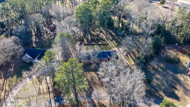 a view of a yard with plants and large trees