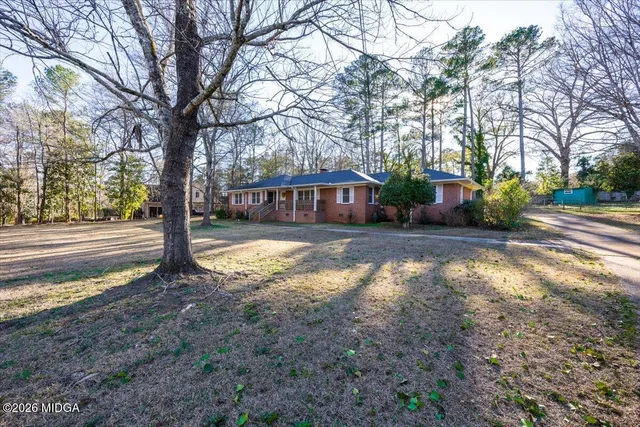 a view of a yard with plants and trees