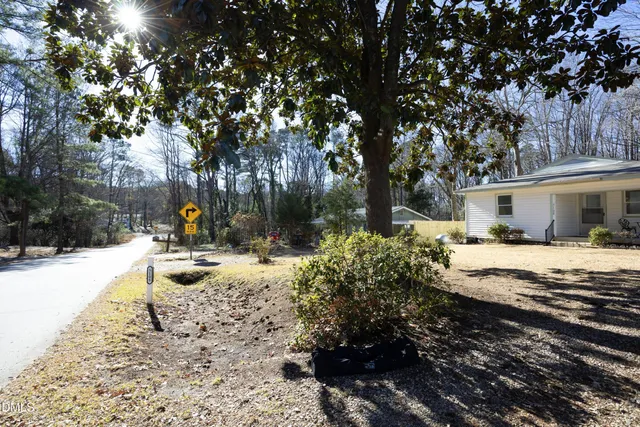 a view of a yard with plants and tree