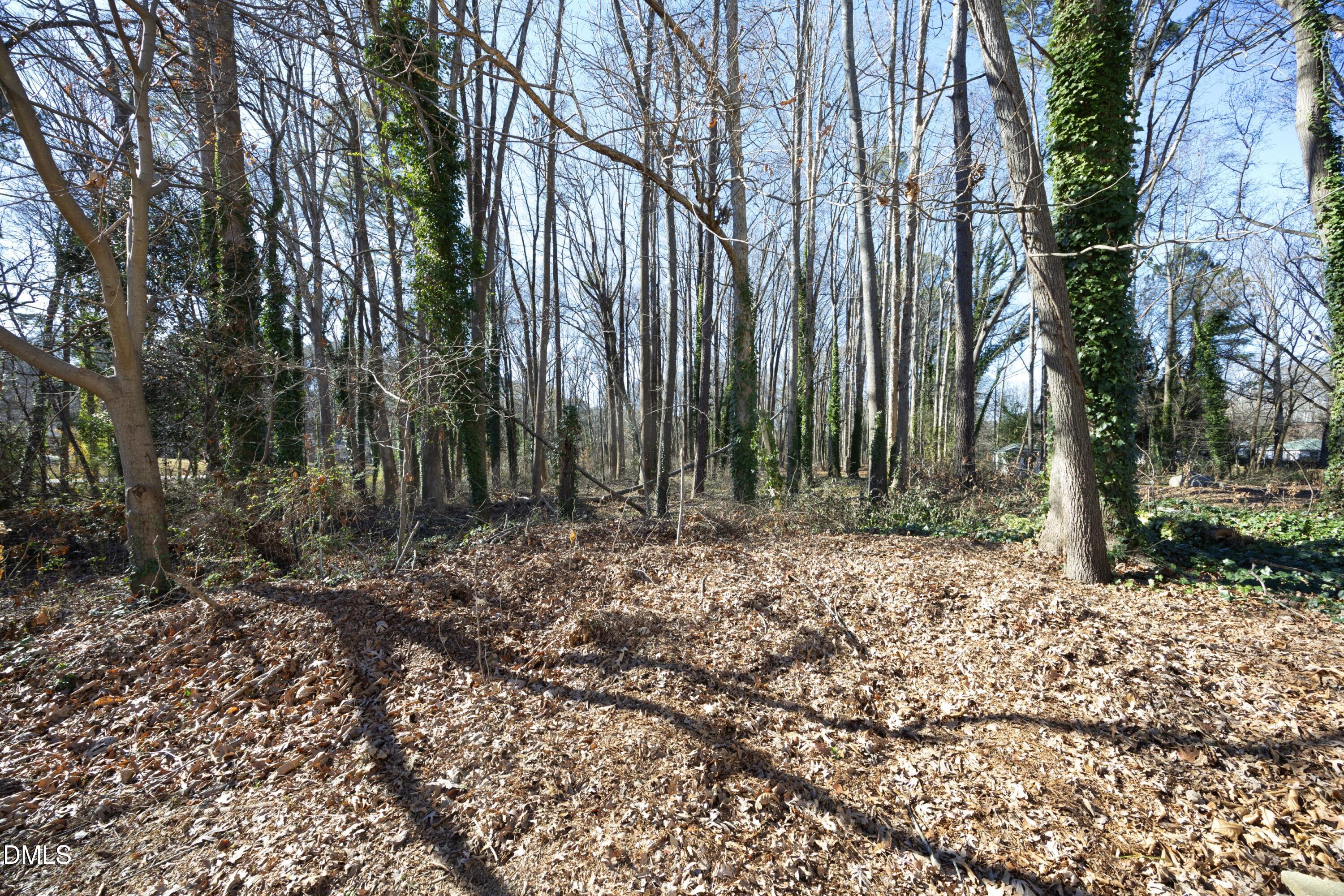 5108 Old Valley Street Raleigh, NC 27603 - Photo 34 of 37 a view of outdoor space with trees